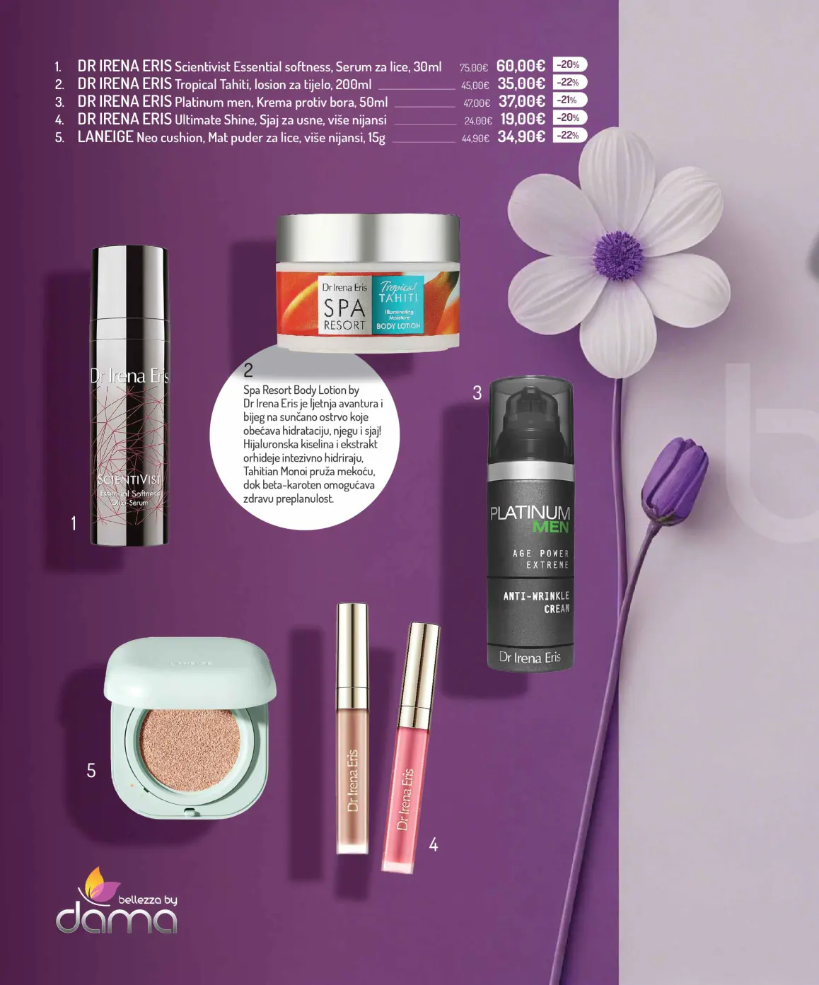 Dama katalog 12
