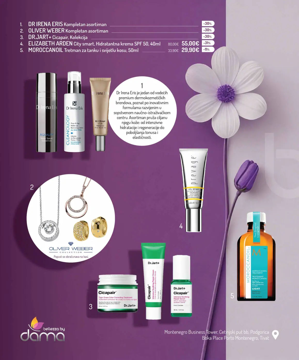 Dama katalog 12