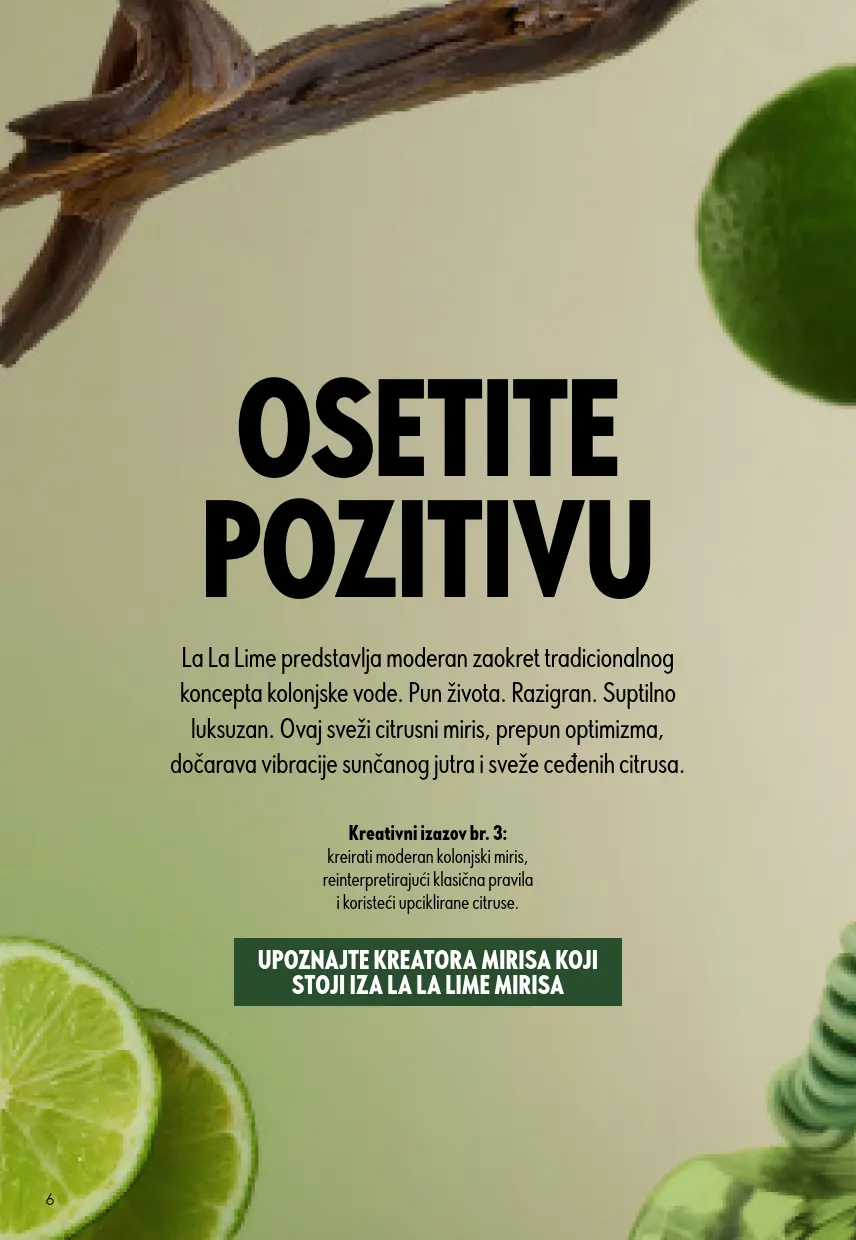 Oriflame katalog 6